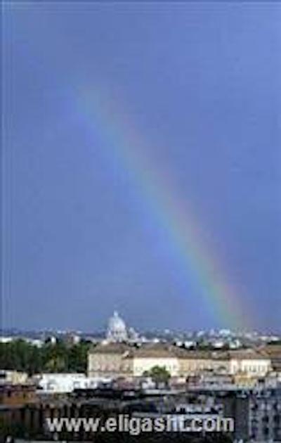 بست وسترن پیکادیلی