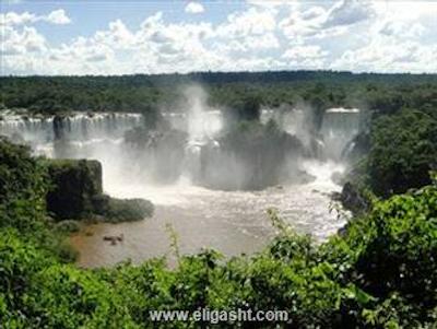 بست وسترن تاروبا