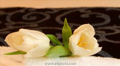 کراون پلازا د پیتر