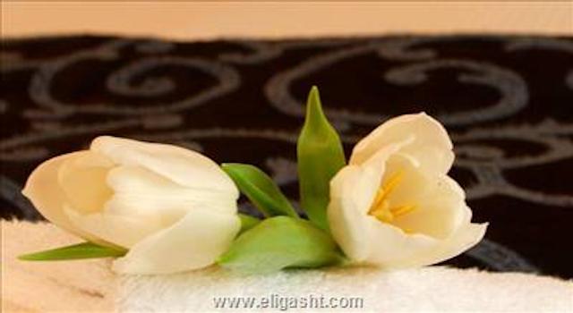 کراون پلازا د پیتر