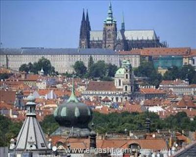 بست وسترن سیتی موران