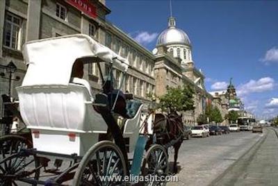 هالیدی این مونترئال سنترویل داون تاون