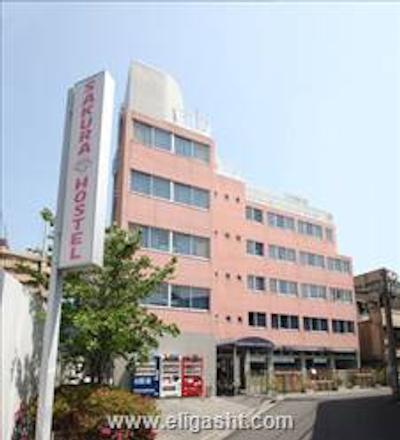 ساکورا هاستل اساکوسا