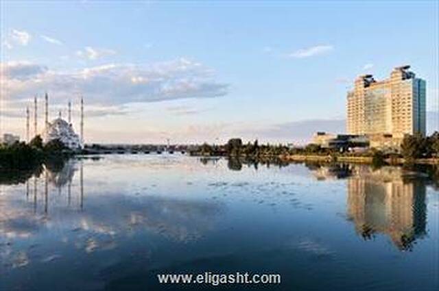آدانا هیلتون اس ‌ای