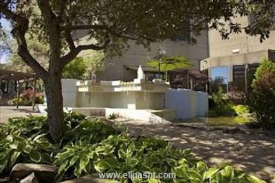 دابل تری بای هیلتون مونترال