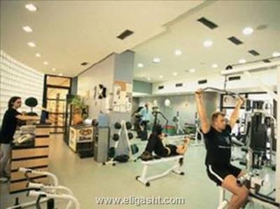 گلدن تولیپ پولیستا پلازا