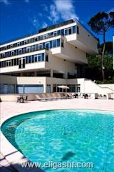 کاردینال اس تی پیتر