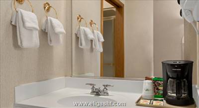 نایتس این تورنتو ایست