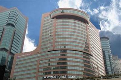 نیکو شانگهای