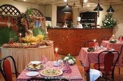 گلدن تولیپ فرح کازابلانکا