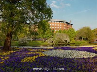 سویستل برمن