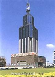 تونگ مائو