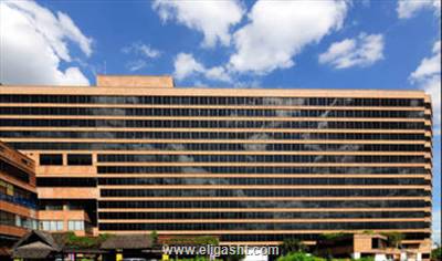 لوتوس پنج سوان کاو