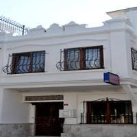 دایزی