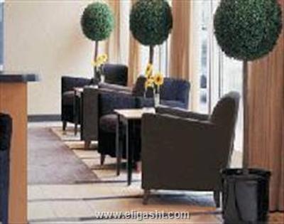 بست وسترن پرمیر پارک کانسول کلن