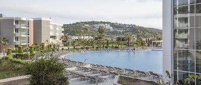 پالم وینگز افسوس