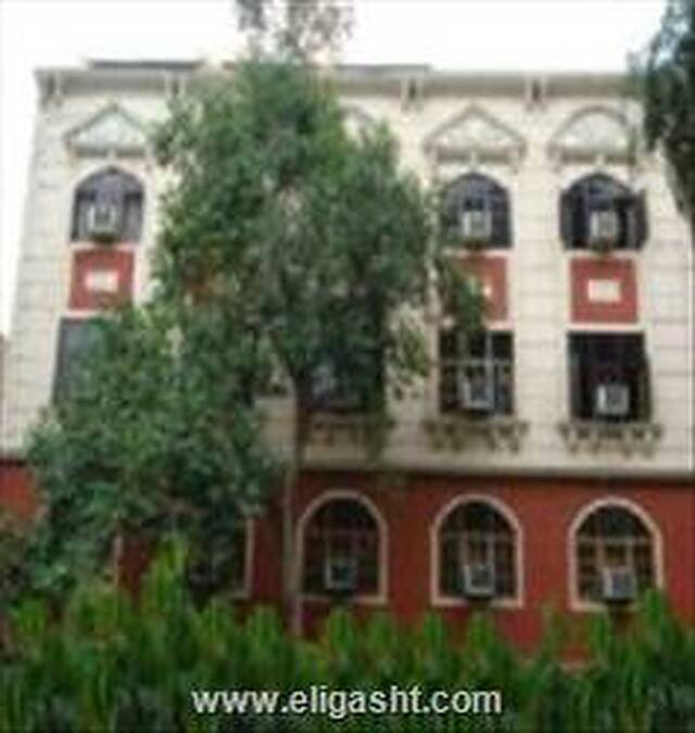 گلدن تولیپ
