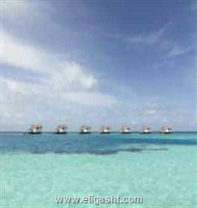 جمیرا ویتاولی