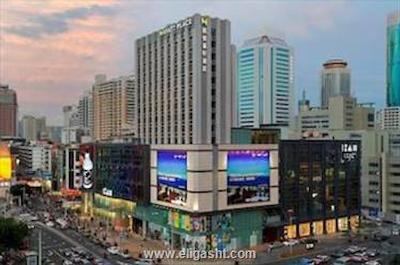 حیات پلیس شنژن دنگمن