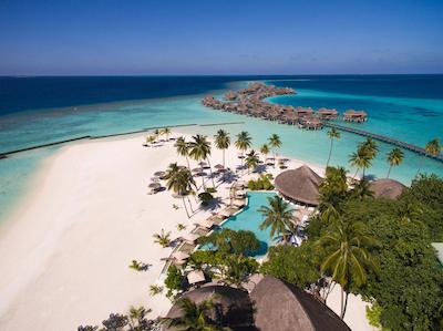 کنستانس هالاولی