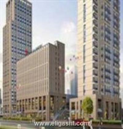 ایبیس نانجینگ ژنقوا
