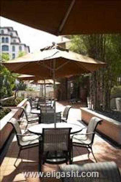 فریزر پلیس سنگاپور