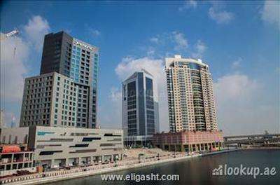 داماک میسون د وگ