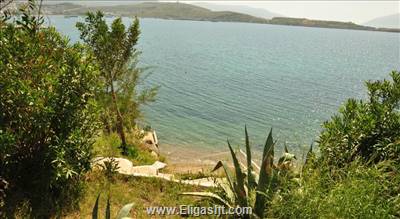 آکواریوم بیچ هتل