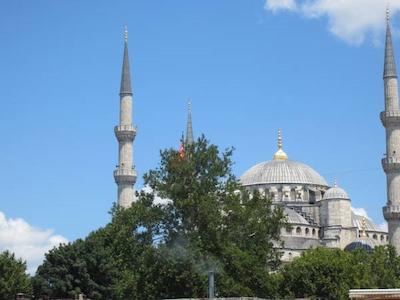 فلامینگو آپارت