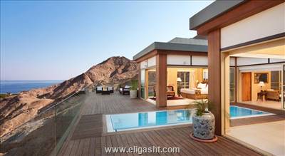 کاپترن ارکید