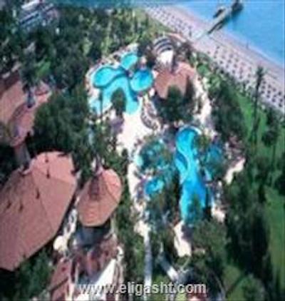 مارتی مایرا کمر