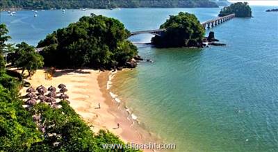 سامانا فورچون