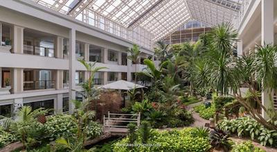 دوسیت تانی پاتایا