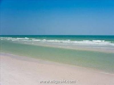 پوتهاراکسا