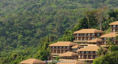 کارون فوناکا