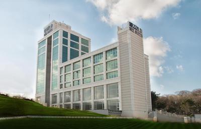 زین دی هوم دودولو