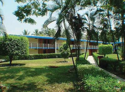 نوتوتون پالنک