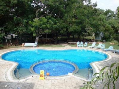 فرتون پاندییان مادورای