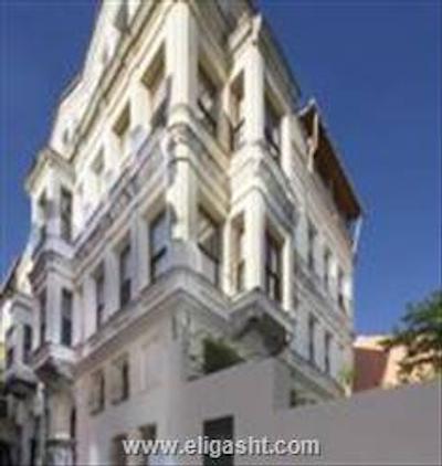 اوتامان تولیپ