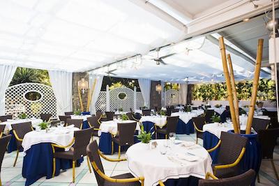 سنترال پارک ترم