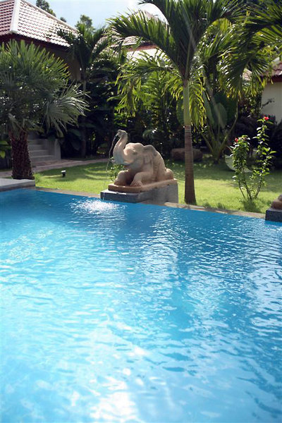 بان کاو ترپیکال بوتیک رسیدنس