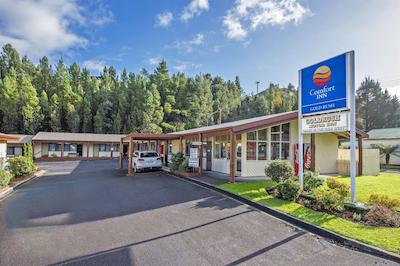 کمفرت این گولد روش