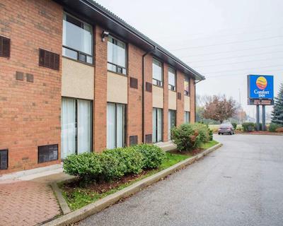 کمفرت این گولف