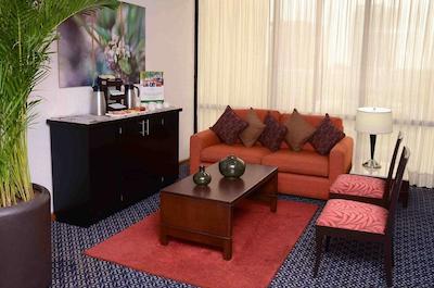 گوادالاجارا پلازا اکسپو