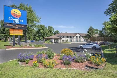 کمفرت این نرد ب