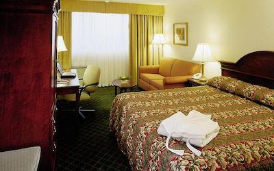 هلید این وینیپگ اسود