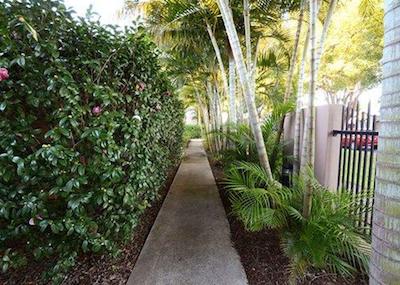 کوالیتی این گرافتون