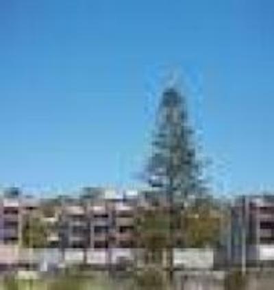 کومبرلاند ریزرت