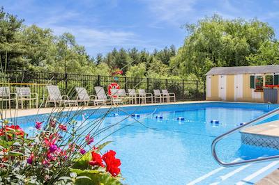 کوالیتی این اند سویتز اورگرین