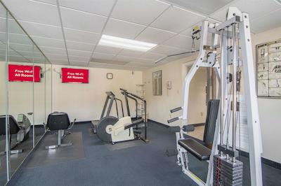 رد روف این فتویل